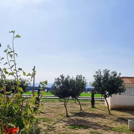 Shanti * Paphos